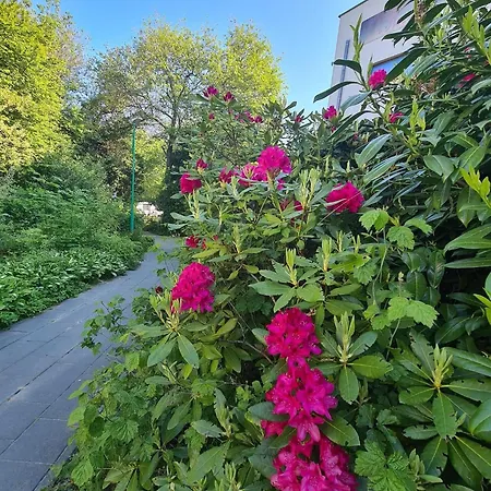 Hanka 13 W Dominikana Family *